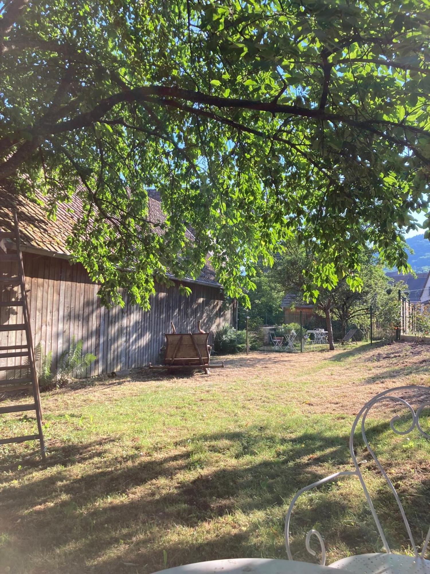 Gite Du Hibou - Jolie Dependance Sur Verger Muhlbach-sur-Munster Exterior foto